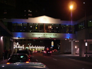 University of Pittsburgh Bridge